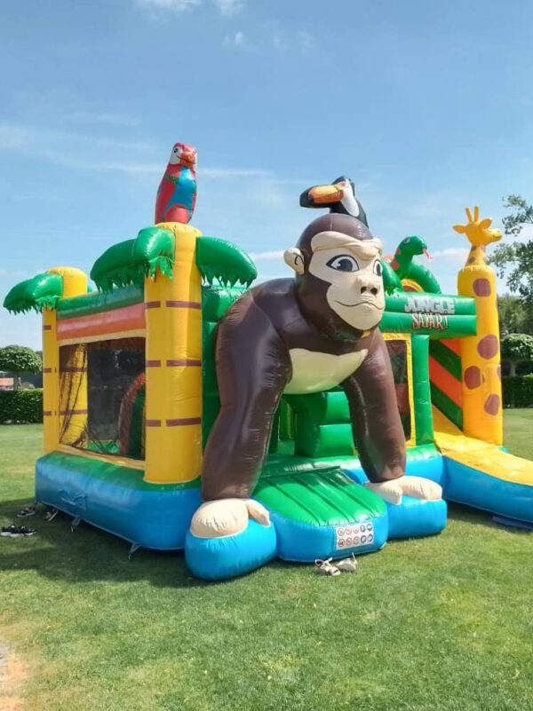 chateau gonflable safari